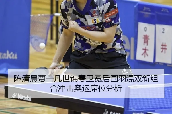 chen-qing-chen-jia-yi-fan-shi-jin-sai-wei-mian-hou-guo-yu-hun-shuang-xin-zu-he-chong-ji-ao-yun-xi-wei-fen-xi-2-211.jpg